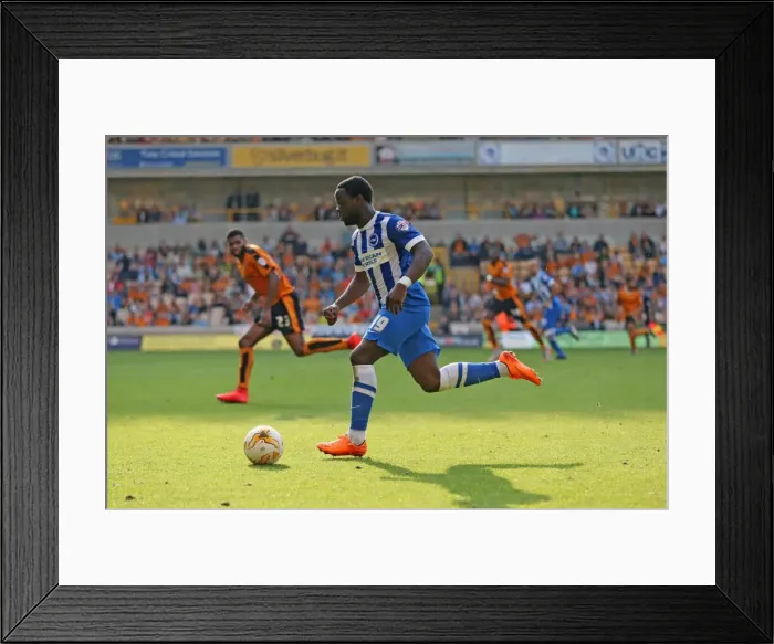 Framed Print : Wolverhampton Wanderers vs. Brighton and Hove Albion: Sky Bet Championship Clash at Molineux Stadium (17 / 09 / 2015) Framed Print : Wolverhampton Wanderers vs. Brighton and Hove Albion: Sky Bet Championship Clash at Molineux Stadium (17 / 09 / 2015)