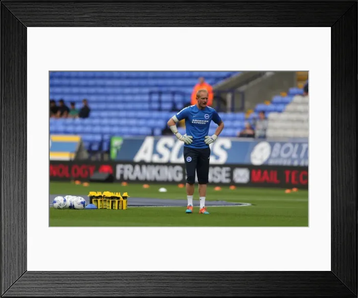Framed Print : Brighton and Hove Albion vs. Bolton Wanderers: Sky Bet Championship Showdown at Macron Stadium (September 26, 2015) Framed Print : Brighton and Hove Albion vs. Bolton Wanderers: Sky Bet Championship Showdown at Macron Stadium (September 26, 2015)