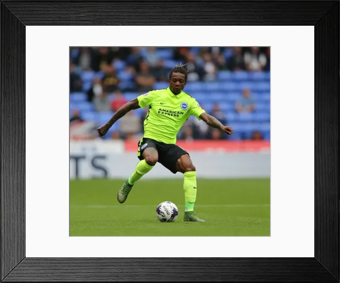 Framed Print : Brighton and Hove Albion vs. Bolton Wanderers: Sky Bet Championship Showdown at Macron Stadium (September 26, 2015)