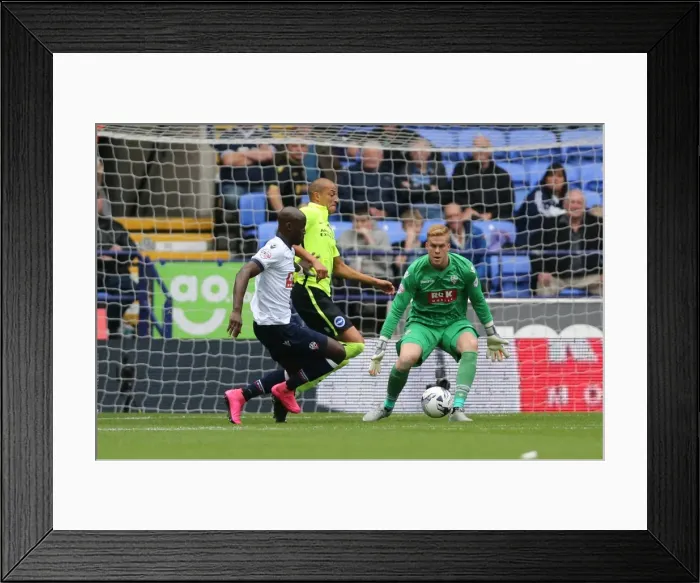 Framed Print : Brighton and Hove Albion vs. Bolton Wanderers: Sky Bet Championship Showdown at Macron Stadium (September 26, 2015) Framed Print : Brighton and Hove Albion vs. Bolton Wanderers: Sky Bet Championship Showdown at Macron Stadium (September 26, 2015)