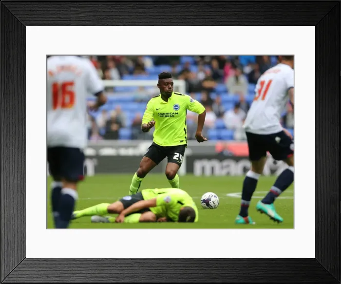 Framed Print : Brighton and Hove Albion vs. Bolton Wanderers: Sky Bet Championship Showdown at Macron Stadium (September 26, 2015)