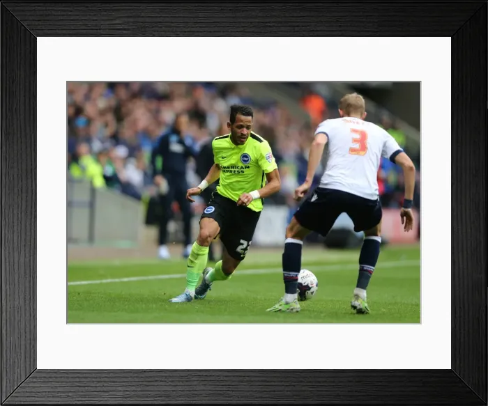 Framed Print : Brighton and Hove Albion vs. Bolton Wanderers: Sky Bet Championship Showdown at Macron Stadium (September 26, 2015)