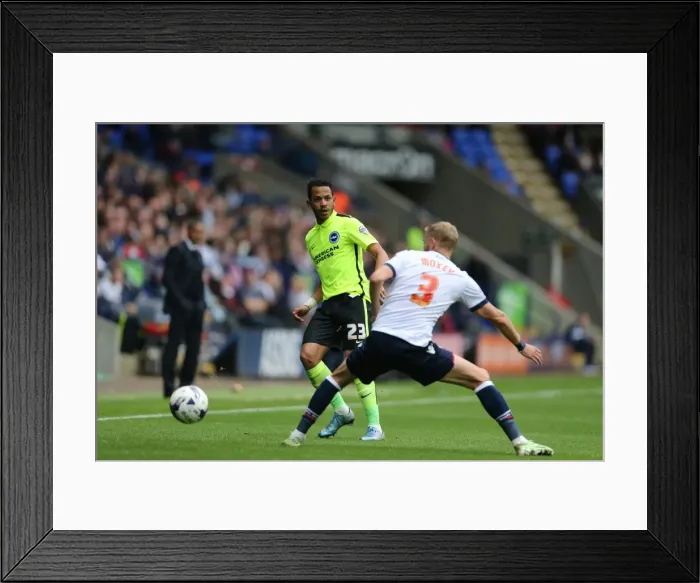 Framed Print : Brighton and Hove Albion vs. Bolton Wanderers: Sky Bet Championship Showdown at Macron Stadium (September 26, 2015) Framed Print : Brighton and Hove Albion vs. Bolton Wanderers: Sky Bet Championship Showdown at Macron Stadium (September 26, 2015)
