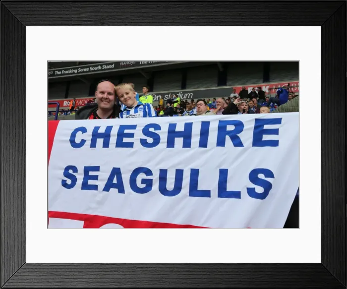 Framed Print : Brighton and Hove Albion vs. Bolton Wanderers: Sky Bet Championship Showdown at Macron Stadium (September 26, 2015) Framed Print : Brighton and Hove Albion vs. Bolton Wanderers: Sky Bet Championship Showdown at Macron Stadium (September 26, 2015)