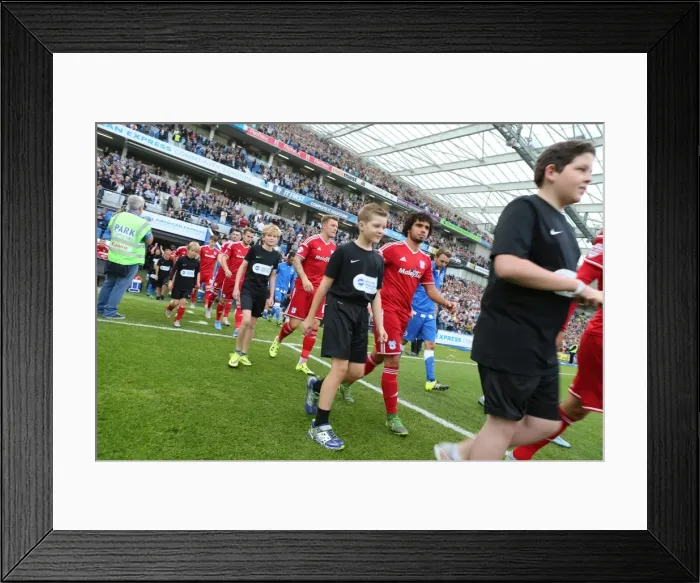Framed Print : Brighton & Hove Albion's 25th Anniversary Celebration: Brighton vs. Cardiff City in Sky Bet Championship (03OCT15) Framed Print : Brighton & Hove Albion's 25th Anniversary Celebration: Brighton vs. Cardiff City in Sky Bet Championship (03OCT15)