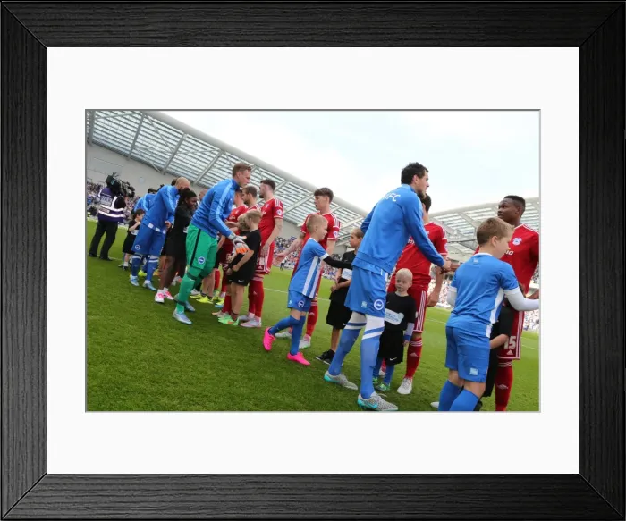 Framed Print : Brighton & Hove Albion's 25th Anniversary Celebration: A Milestone Match against Cardiff City in the Sky Bet Championship (3 October 2015) Framed Print : Brighton & Hove Albion's 25th Anniversary Celebration: A Milestone Match against Cardiff City in the Sky Bet Championship (3 October 2015)