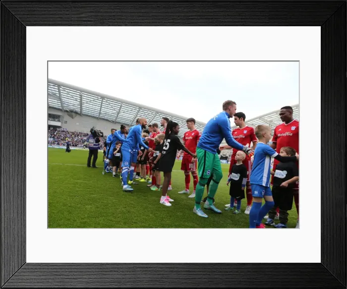 Framed Print : Brighton & Hove Albion's 25th Anniversary Celebration: Albion in the Community vs Cardiff City, Sky Bet Championship 2015 Framed Print : Brighton & Hove Albion's 25th Anniversary Celebration: Albion in the Community vs Cardiff City, Sky Bet Championship 2015