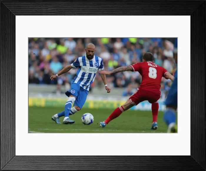Framed Print : Brighton & Hove Albion vs. Cardiff City: Sky Bet Championship Showdown, October 2015 Framed Print : Brighton & Hove Albion vs. Cardiff City: Sky Bet Championship Showdown, October 2015