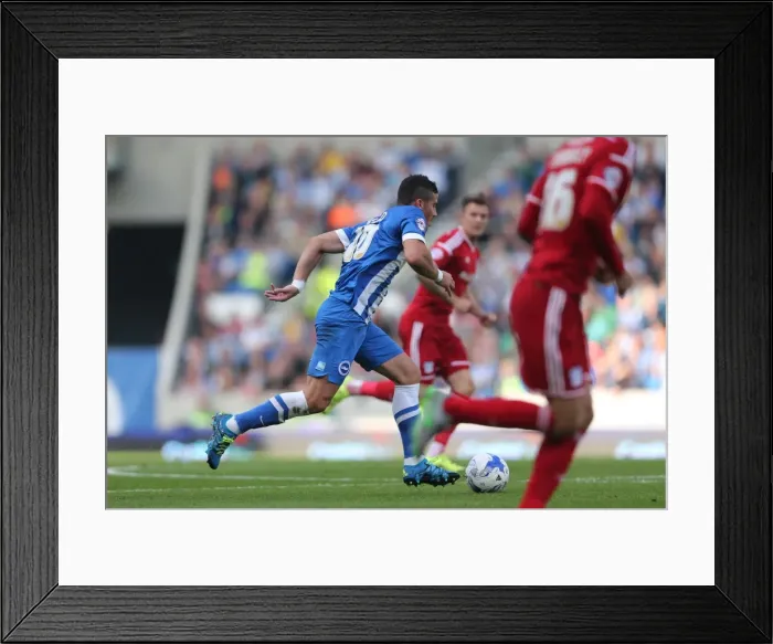 Framed Print : Brighton and Hove Albion vs. Cardiff City: Sky Bet Championship Showdown, October 2015 Framed Print : Brighton and Hove Albion vs. Cardiff City: Sky Bet Championship Showdown, October 2015