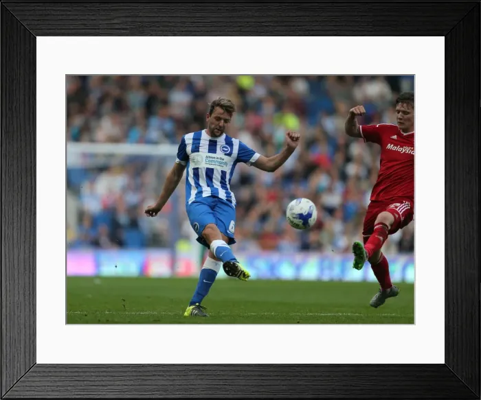 Framed Print : Brighton & Hove Albion vs. Cardiff City: Sky Bet Championship Showdown at American Express Community Stadium (October 3, 2015) Framed Print : Brighton & Hove Albion vs. Cardiff City: Sky Bet Championship Showdown at American Express Community Stadium (October 3, 2015)