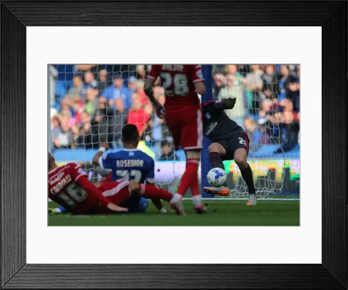 Framed Print : Brighton and Hove Albion vs. Cardiff City: Sky Bet Championship Showdown, October 2015