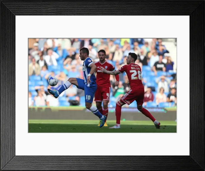Framed Print : Brighton and Hove Albion vs. Cardiff City: Sky Bet Championship Showdown, October 2015 Framed Print : Brighton and Hove Albion vs. Cardiff City: Sky Bet Championship Showdown, October 2015