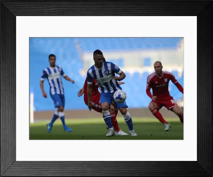 Framed Print : Sky Bet Championship: Brighton & Hove Albion vs. Cardiff City, October 2015 - Intense Match Action Framed Print : Sky Bet Championship: Brighton & Hove Albion vs. Cardiff City, October 2015 - Intense Match Action