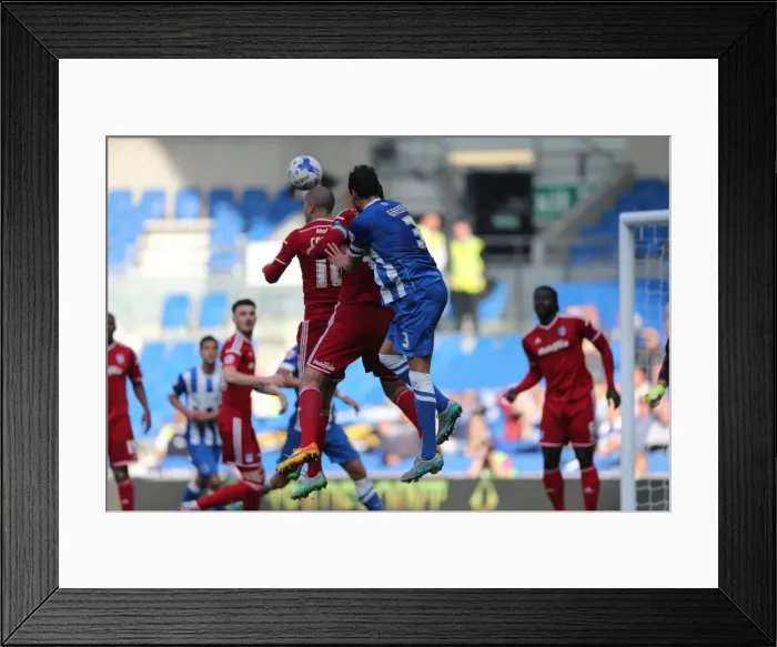 Framed Print : Sky Bet Championship: Brighton & Hove Albion vs. Cardiff City Clash - October 3, 2015 Framed Print : Sky Bet Championship: Brighton & Hove Albion vs. Cardiff City Clash - October 3, 2015