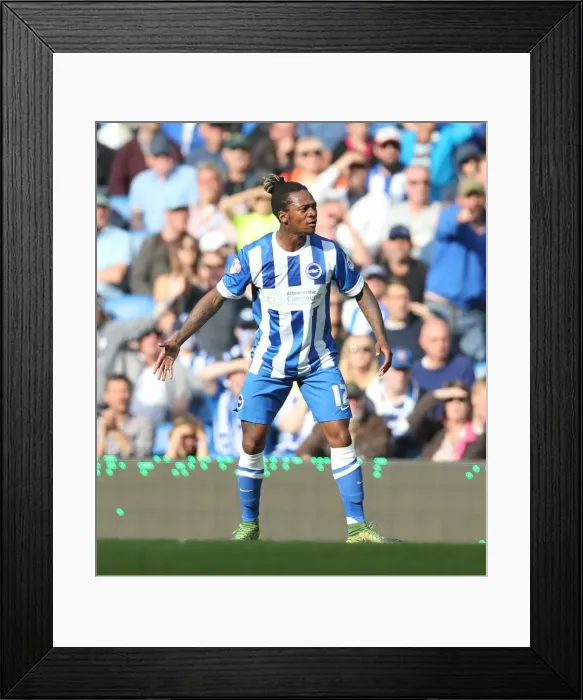 Framed Print : Brighton and Hove Albion vs. Cardiff City: Sky Bet Championship Showdown, October 2015