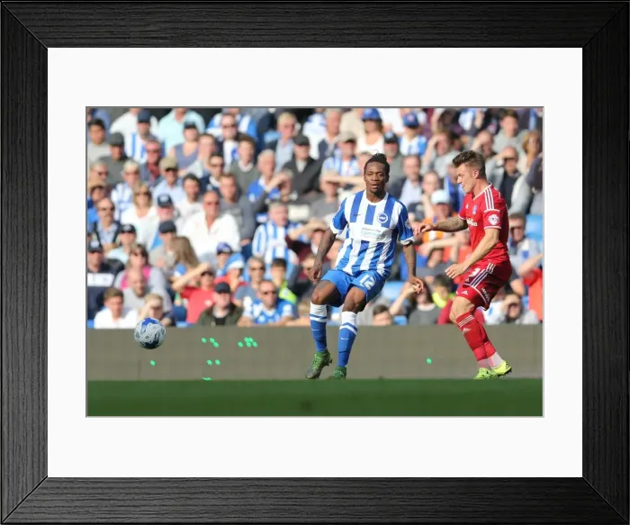 Framed Print : Brighton & Hove Albion vs. Cardiff City: Sky Bet Championship Showdown at American Express Community Stadium (October 3, 2015)