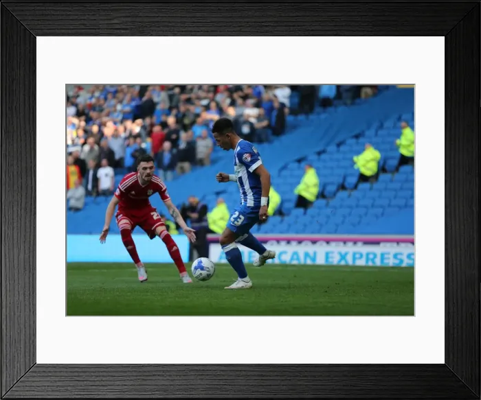 Framed Print : Brighton and Hove Albion vs. Cardiff City: Sky Bet Championship Showdown, October 2015