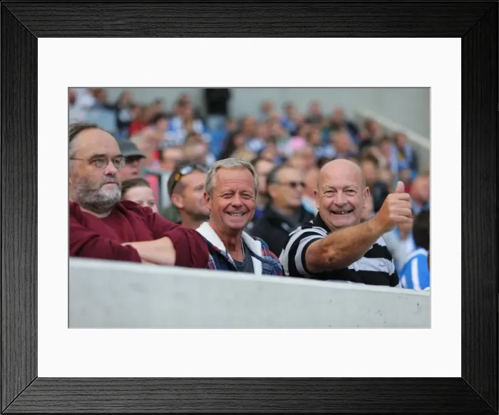 Framed Print : Brighton and Hove Albion vs. Cardiff City: Sky Bet Championship Showdown, October 2015 Framed Print : Brighton and Hove Albion vs. Cardiff City: Sky Bet Championship Showdown, October 2015