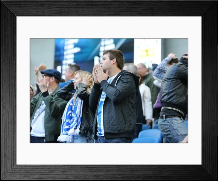 Framed Print : Brighton & Hove Albion vs. Cardiff City: Sky Bet Championship Showdown, October 2015 Framed Print : Brighton & Hove Albion vs. Cardiff City: Sky Bet Championship Showdown, October 2015