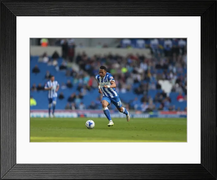 Framed Print : Brighton and Hove Albion vs. Cardiff City: Sky Bet Championship Showdown, October 2015 Framed Print : Brighton and Hove Albion vs. Cardiff City: Sky Bet Championship Showdown, October 2015