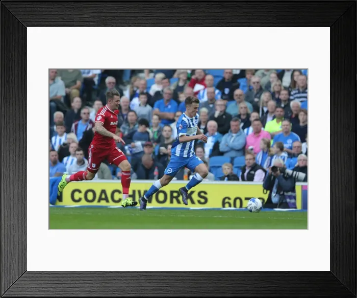 Framed Print : Brighton & Hove Albion vs. Cardiff City: Sky Bet Championship Showdown, October 2015 Framed Print : Brighton & Hove Albion vs. Cardiff City: Sky Bet Championship Showdown, October 2015