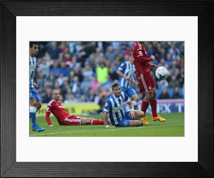 Framed Print : Brighton and Hove Albion vs. Cardiff City: Sky Bet Championship Showdown, October 2015 Framed Print : Brighton and Hove Albion vs. Cardiff City: Sky Bet Championship Showdown, October 2015