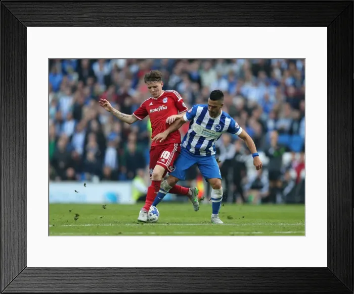 Framed Print : Brighton and Hove Albion vs. Cardiff City: Sky Bet Championship Showdown at American Express Community Stadium (October 3, 2015) Framed Print : Brighton and Hove Albion vs. Cardiff City: Sky Bet Championship Showdown at American Express Community Stadium (October 3, 2015)