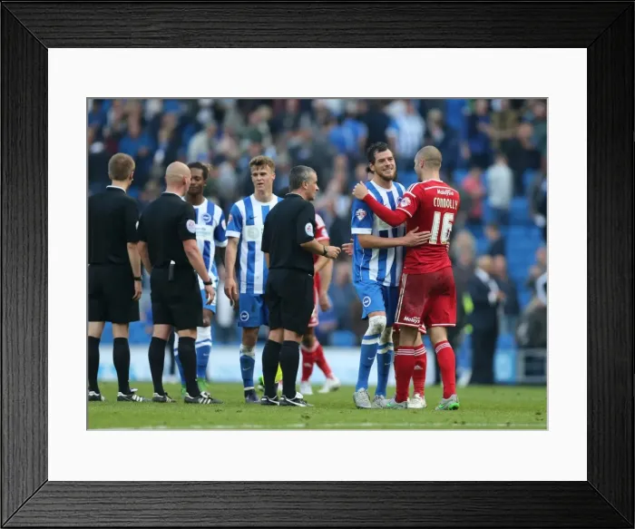 Framed Print : Brighton and Hove Albion vs. Cardiff City: Sky Bet Championship Clash, October 2015 Framed Print : Brighton and Hove Albion vs. Cardiff City: Sky Bet Championship Clash, October 2015