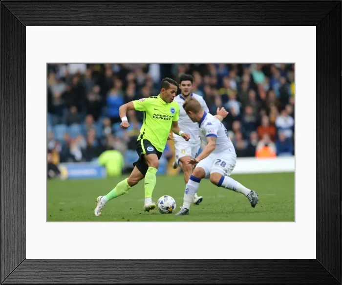 Framed Print : Championship Showdown: Leeds United vs. Brighton & Hove Albion at Elland Road (17th October 2015) Framed Print : Championship Showdown: Leeds United vs. Brighton & Hove Albion at Elland Road (17th October 2015)