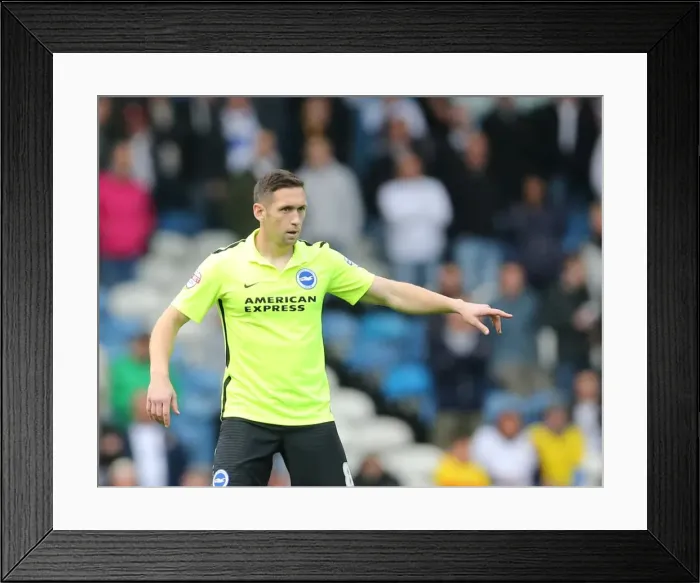 Framed Print : Championship Showdown: Leeds United vs. Brighton and Hove Albion at Elland Road (17th October 2015) Framed Print : Championship Showdown: Leeds United vs. Brighton and Hove Albion at Elland Road (17th October 2015)