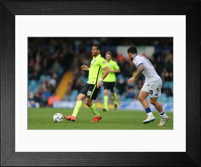 Framed Print : Battle in the Championship: Leeds United vs. Brighton & Hove Albion (17 / 10 / 2015) Framed Print : Battle in the Championship: Leeds United vs. Brighton & Hove Albion (17 / 10 / 2015)
