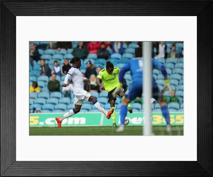 Framed Print : Sky Bet Championship Showdown: Leeds United vs. Brighton & Hove Albion at Elland Road (17 October 2015) Framed Print : Sky Bet Championship Showdown: Leeds United vs. Brighton & Hove Albion at Elland Road (17 October 2015)