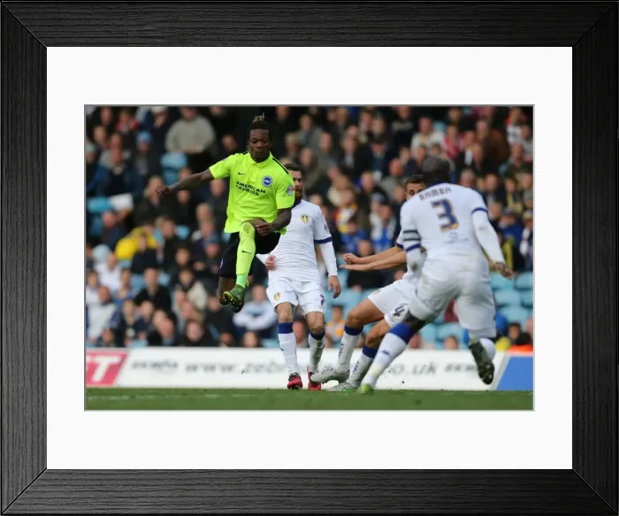 Framed Print : Championship Clash: Leeds United vs. Brighton & Hove Albion (17th October 2015) Framed Print : Championship Clash: Leeds United vs. Brighton & Hove Albion (17th October 2015)