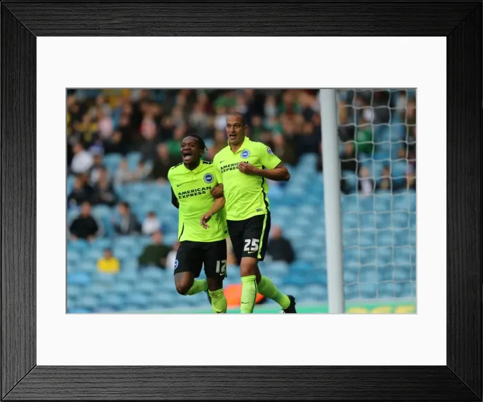 Framed Print : Championship Showdown: Leeds United vs. Brighton & Hove Albion at Elland Road (17th October 2015) Framed Print : Championship Showdown: Leeds United vs. Brighton & Hove Albion at Elland Road (17th October 2015)