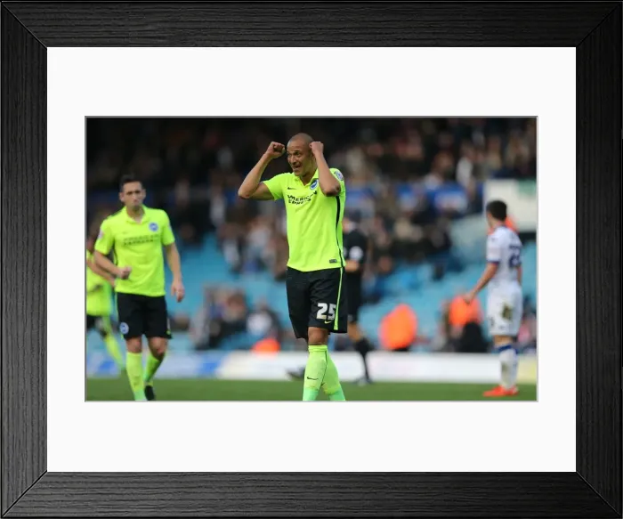 Framed Print : Championship Showdown: Leeds United vs. Brighton & Hove Albion at Elland Road (17th October 2015) Framed Print : Championship Showdown: Leeds United vs. Brighton & Hove Albion at Elland Road (17th October 2015)