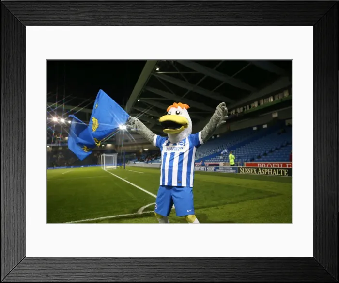 Framed Print : Brighton and Hove Albion v Bristol City Sky Bet Championship 20 / 10 / 2015 Framed Print : Brighton and Hove Albion v Bristol City Sky Bet Championship 20 / 10 / 2015