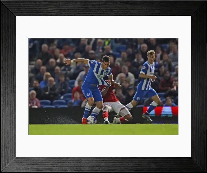 Framed Print : Exciting Championship Showdown: Brighton & Hove Albion vs. Bristol City (20102015) Framed Print : Exciting Championship Showdown: Brighton & Hove Albion vs. Bristol City (20102015)