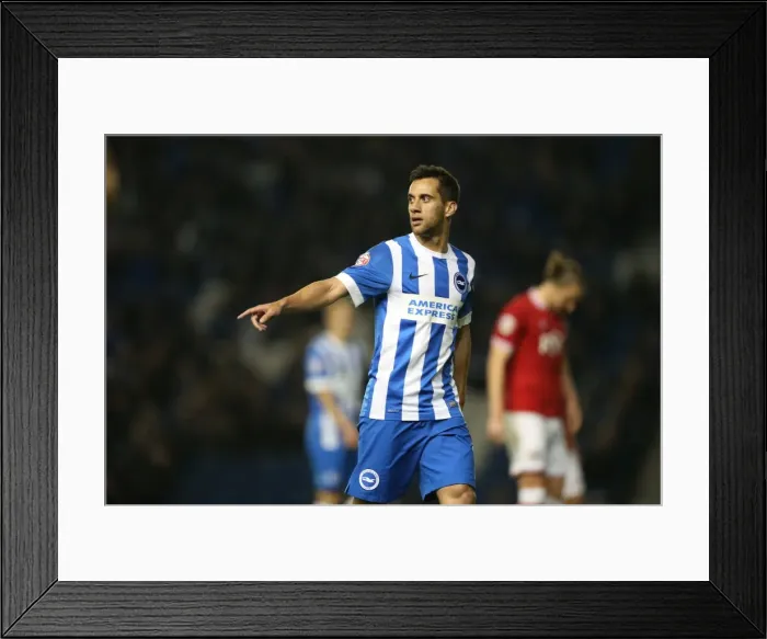 Framed Print : Brighton and Hove Albion vs. Bristol City: Sky Bet Championship Showdown at American Express Community Stadium (October 2015) Framed Print : Brighton and Hove Albion vs. Bristol City: Sky Bet Championship Showdown at American Express Community Stadium (October 2015)
