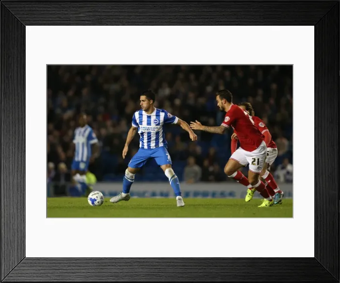 Framed Print : Brighton and Hove Albion vs. Bristol City: Sky Bet Championship Showdown at American Express Community Stadium (October 2015) Framed Print : Brighton and Hove Albion vs. Bristol City: Sky Bet Championship Showdown at American Express Community Stadium (October 2015)