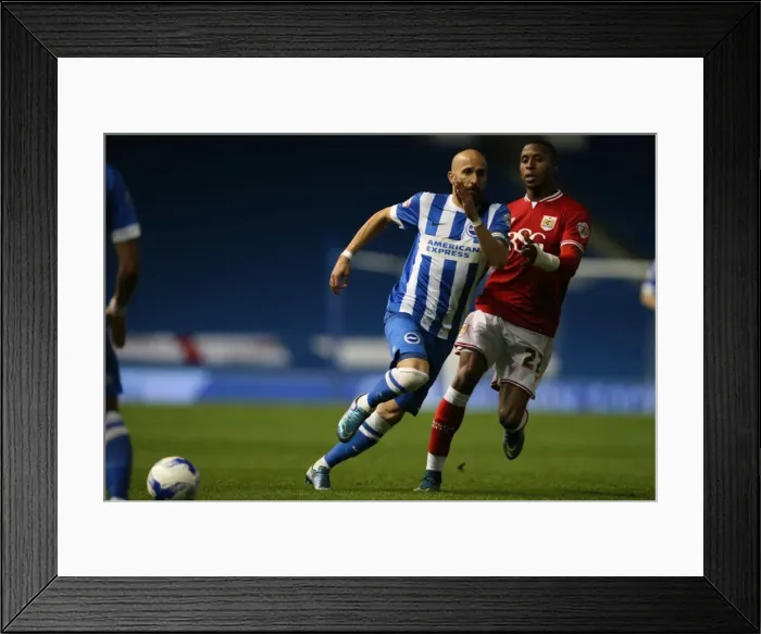 Framed Print : Brighton and Hove Albion vs. Bristol City: Sky Bet Championship Showdown at American Express Community Stadium (20102015)