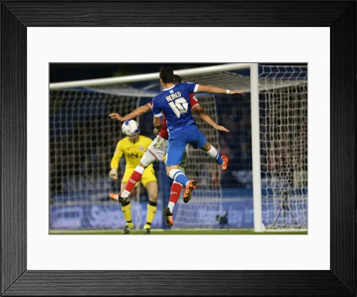 Framed Print : Brighton and Hove Albion vs. Bristol City: Sky Bet Championship Showdown at American Express Community Stadium (20102015) Framed Print : Brighton and Hove Albion vs. Bristol City: Sky Bet Championship Showdown at American Express Community Stadium (20102015)