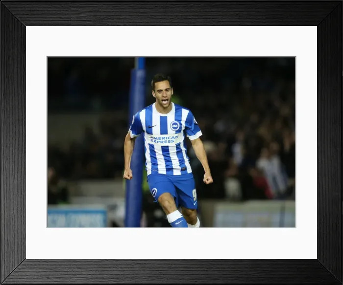 Framed Print : Brighton and Hove Albion vs. Bristol City: Sky Bet Championship Showdown at American Express Community Stadium (10-2015) Framed Print : Brighton and Hove Albion vs. Bristol City: Sky Bet Championship Showdown at American Express Community Stadium (10-2015)