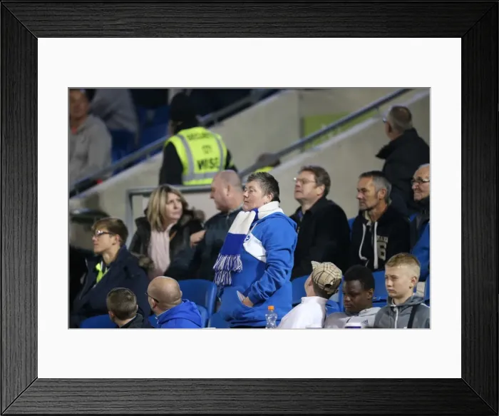Framed Print : Brighton and Hove Albion vs. Bristol City: Sky Bet Championship Showdown at American Express Community Stadium (October 2015) Framed Print : Brighton and Hove Albion vs. Bristol City: Sky Bet Championship Showdown at American Express Community Stadium (October 2015)