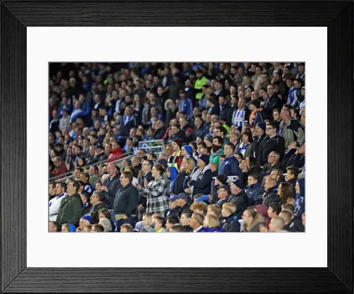 Framed Print : Brighton and Hove Albion vs. Bristol City: Sky Bet Championship Showdown at American Express Community Stadium (10.2015) Framed Print : Brighton and Hove Albion vs. Bristol City: Sky Bet Championship Showdown at American Express Community Stadium (10.2015)