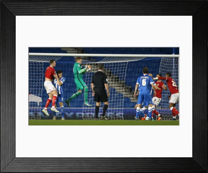 Framed Print : Brighton and Hove Albion vs. Bristol City: Sky Bet Championship Showdown at American Express Community Stadium (October 2015) Framed Print : Brighton and Hove Albion vs. Bristol City: Sky Bet Championship Showdown at American Express Community Stadium (October 2015)