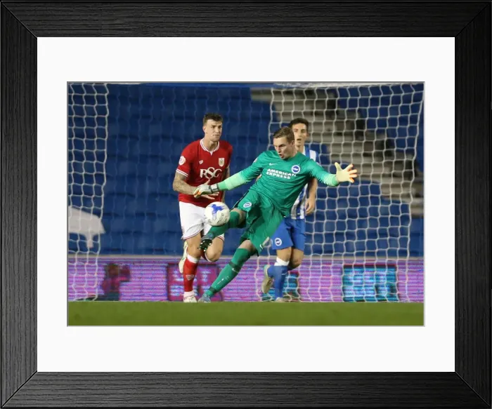 Framed Print : Brighton and Hove Albion vs. Bristol City: Sky Bet Championship Showdown at American Express Community Stadium (October 2015) Framed Print : Brighton and Hove Albion vs. Bristol City: Sky Bet Championship Showdown at American Express Community Stadium (October 2015)