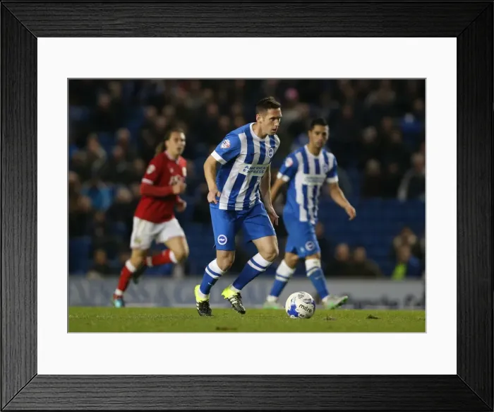 Framed Print : Brighton and Hove Albion vs. Bristol City: Sky Bet Championship Showdown at American Express Community Stadium (October 2015) Framed Print : Brighton and Hove Albion vs. Bristol City: Sky Bet Championship Showdown at American Express Community Stadium (October 2015)