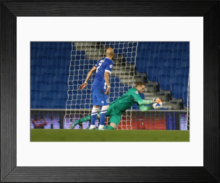 Framed Print : Brighton and Hove Albion vs. Bristol City: Sky Bet Championship Showdown at American Express Community Stadium (10.2015) Framed Print : Brighton and Hove Albion vs. Bristol City: Sky Bet Championship Showdown at American Express Community Stadium (10.2015)