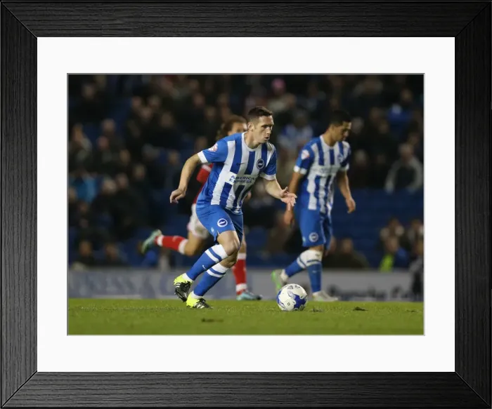 Framed Print : Brighton and Hove Albion vs. Bristol City: Sky Bet Championship Showdown at American Express Community Stadium (October 2015)