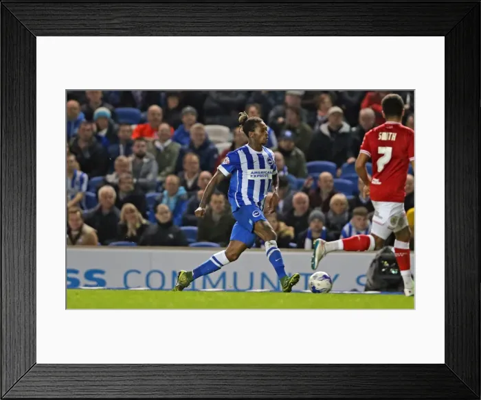 Framed Print : Brighton and Hove Albion vs. Bristol City: Sky Bet Championship Showdown at American Express Community Stadium (October 2015)